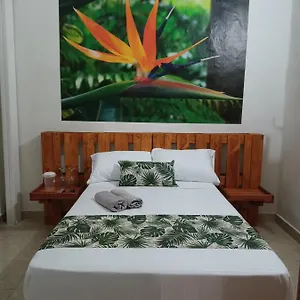 Pensión Casa-hotel Boutique El Jardín De